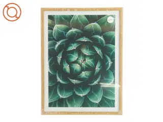 Billedramme (str. 40 x 30 cm)