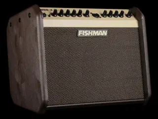 Fishman LoudBox Mini
