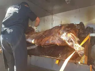 Kæmpe Grill/ Erhvervsgrill