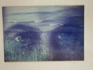 "Øjeblikket" Foto-Kunst. Ingvar Glad 