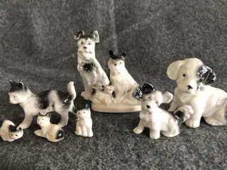 Hundefamilie i stentøj