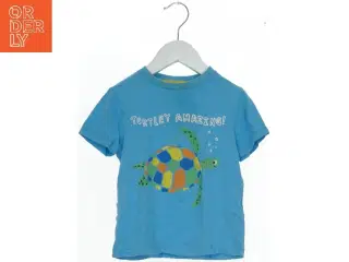 Blå T-Shirt med Skildpadde Print fra M&S (str. 110)