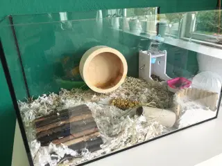 Hamster bur med alt tilbehør 