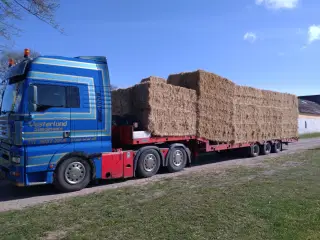 Vårbyg halm i minibigballer 80x90x240