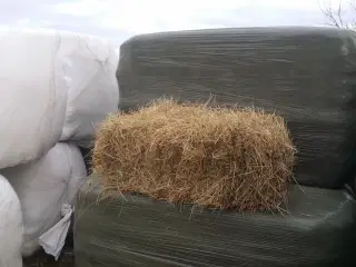 hø