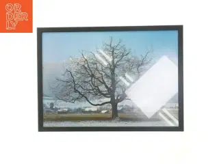 Plakat med naturmotiv i ramme fra Posterlund (str. 30x42 cm)