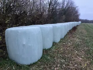 Kvalitets wrap 1 slet 2025