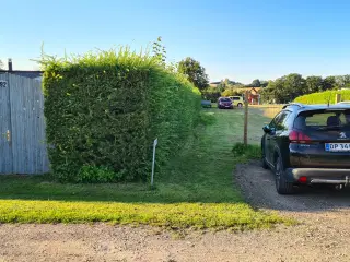 Kolonihave med nyt hus i Vejle 