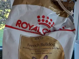 Fransk bulldog Royal Canin 