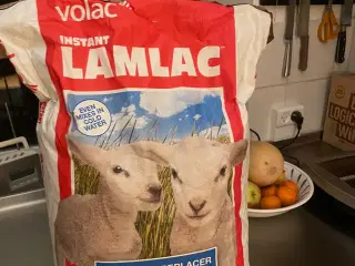 Pulvermælk til opflaskning af lam, Lamlac, 10 kg