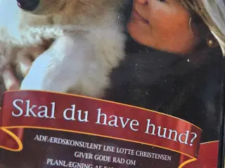 Skal du have hund film fra dkk