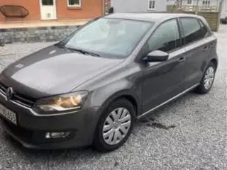 Wv polo