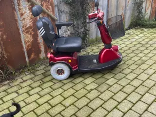 El scooter