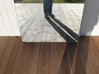 Spejl