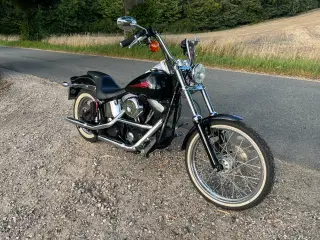 Harley Davidson FXST SOFTTAIL