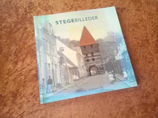 Stegebilleder,  Marianne Rimmen Raasted m. fl
