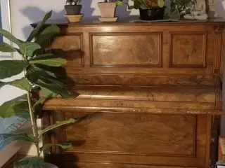 Smukt klaver gives væk