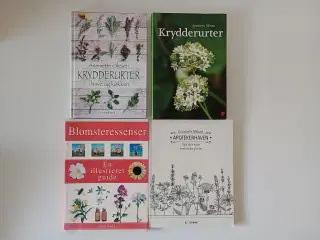 Krydderurter + blomsteressenser