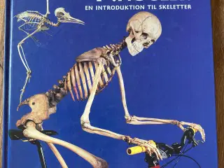 Den store bog om knogler