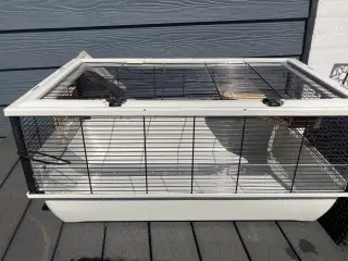 Bur og tilbehør til dværghamster 