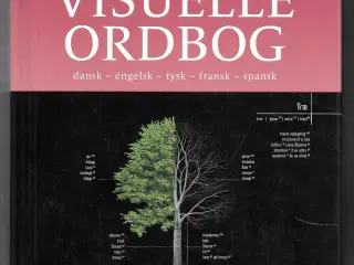 Politikkens visuelle ordbog Dansk-engelsk-tysk-fra