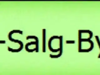 Hvide Belgiske Kæmper/Californien 
