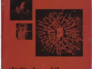 Tokyo Ballet - Ballet 1999 - Det Kongelige Teater - Program A5 - Pæn