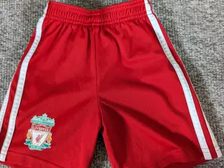 Adidas Liverpool shorts