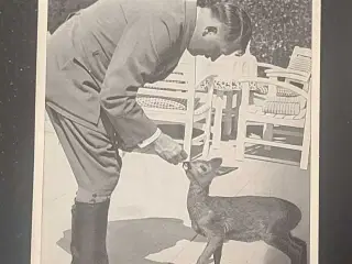 WW2 - Originalt samlebillede med Adolf Hitler