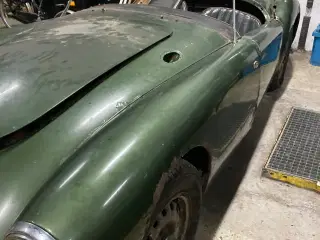 MGA