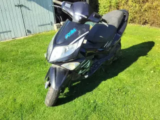 PGO GMAX 30 2016