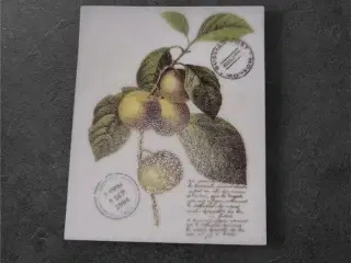 Vintage papirark med æbleillustration