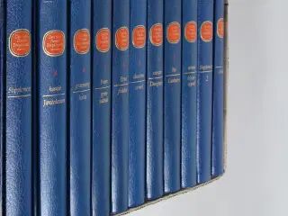 Den Store Danske Encyklopædi, bind 1-20 