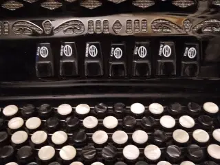 Harmonika BORSDINI med transporttaske