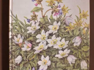 illustreret flora, af vilhelm baltzer og morten la