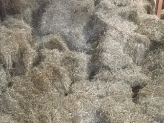 Hø