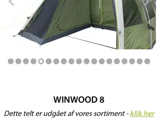 Outwell winwood 8