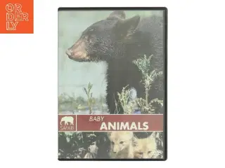 Baby Animals (DVD)