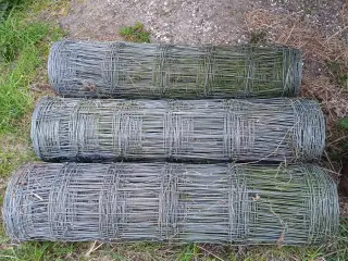 Fårehegn