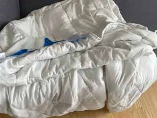 11 kg tyngdedyne