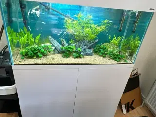 Aquael 200l