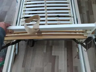 Elevationsseng
