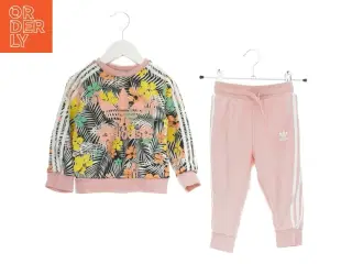 Sæt fra Adidas (str. 92 cm)