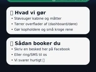 Indvendig bil rengøring i Odense