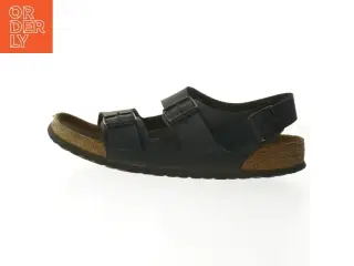 Birkenstock sandaler størrelse 43 fra Birkenstock (str. 43 )