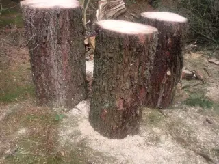Søm blok 