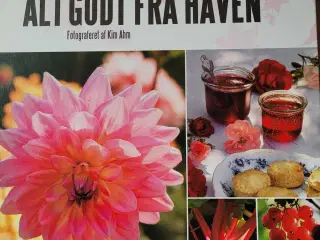 Orkideer, alt godt fra Haven 