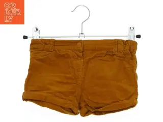 Fløjlsshorts fra C & A (str. 80)