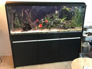 530l akvarie