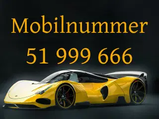 Guldnummer 51 999 666